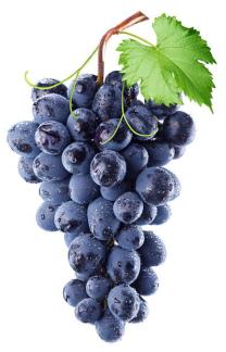 bunch of black grapes
