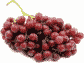 red dessert grapes